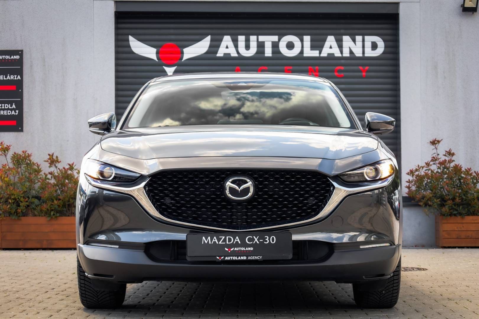 Mazda-CX-30-Skyactiv-X186-GT-Plus-AT-2