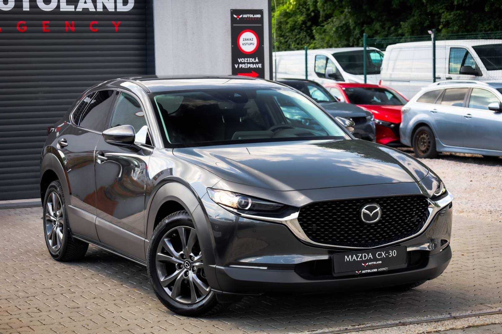 Mazda-CX-30-Skyactiv-X186-GT-Plus-AT-4