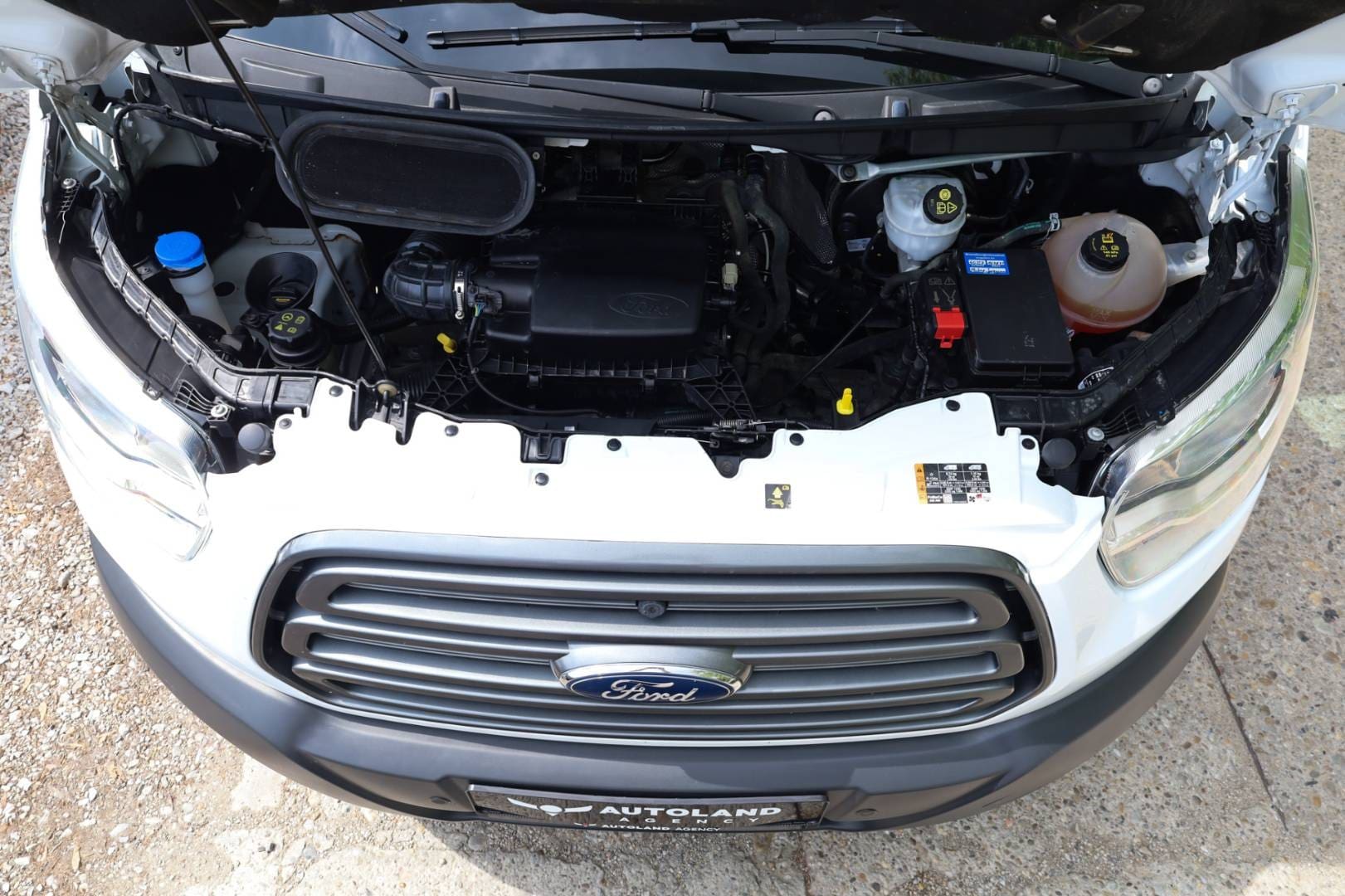 Ford-Transit-20-TDCi-Trend-L2H2-T310-FWD-30