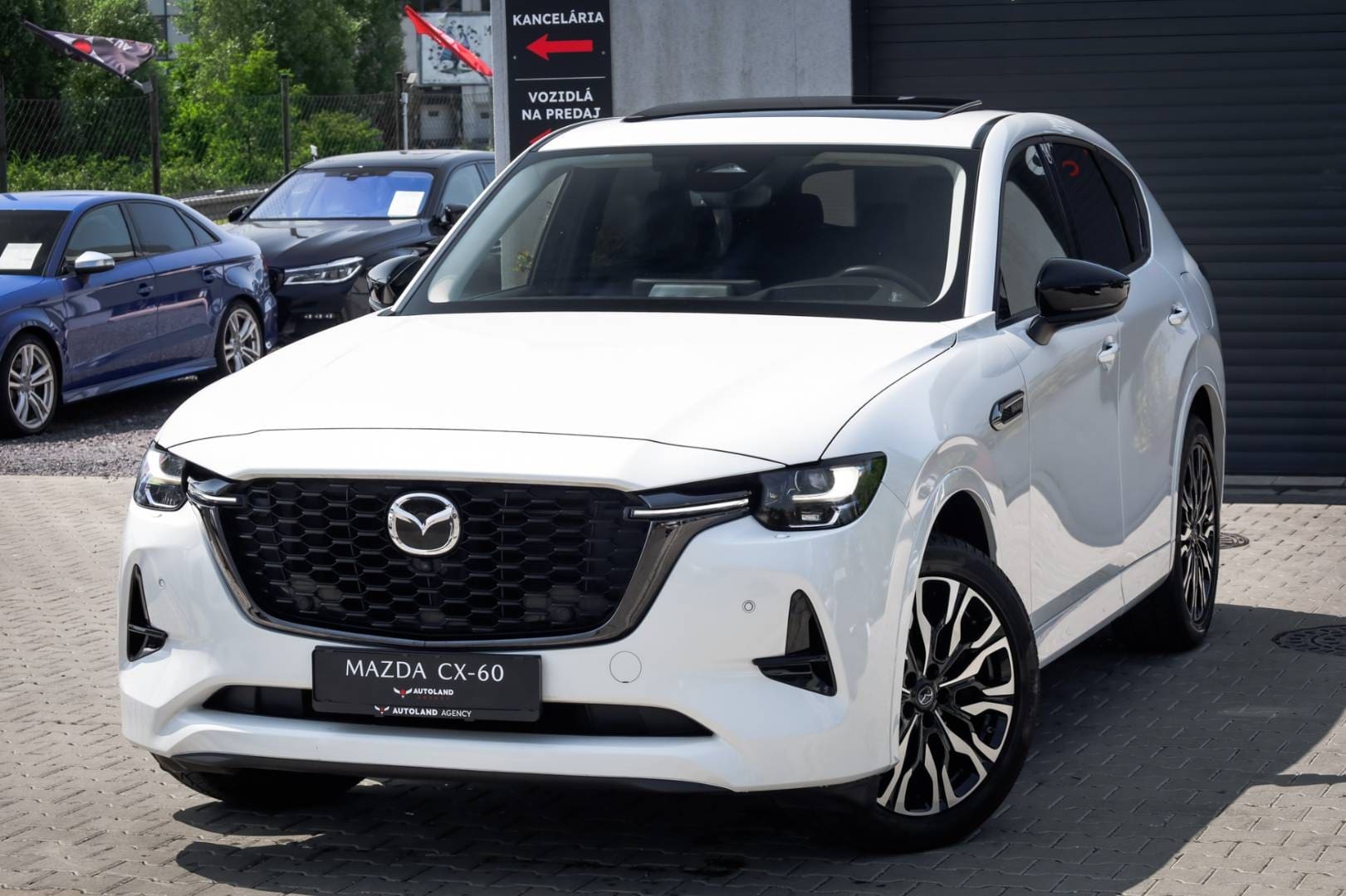 Mazda-CX-60-33-e-Skyactiv-D254-mHEV-Homura-AWD-AT-1