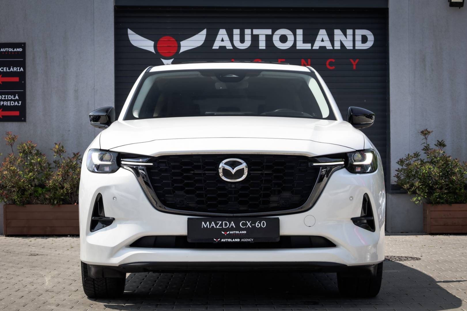 Mazda-CX-60-33-e-Skyactiv-D254-mHEV-Homura-AWD-AT-2
