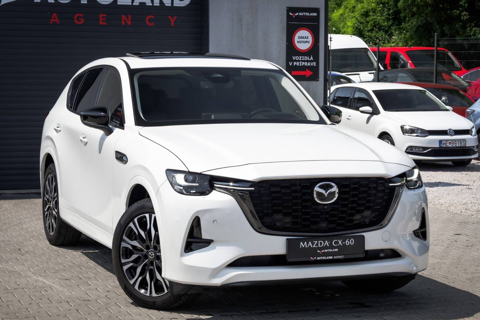 Mazda-CX-60-33-e-Skyactiv-D254-mHEV-Homura-AWD-AT-4