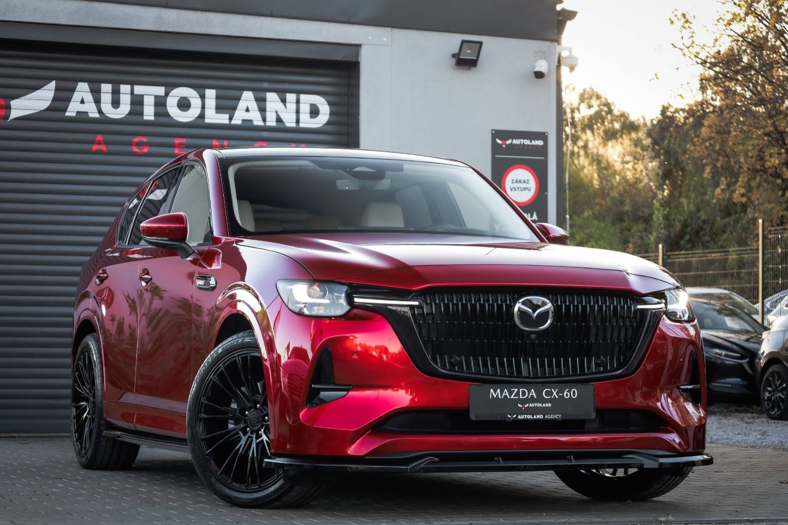 Mazda-CX-60-33-e-Skyactiv-D254-mHEV-Takumi-AWD-AT-3