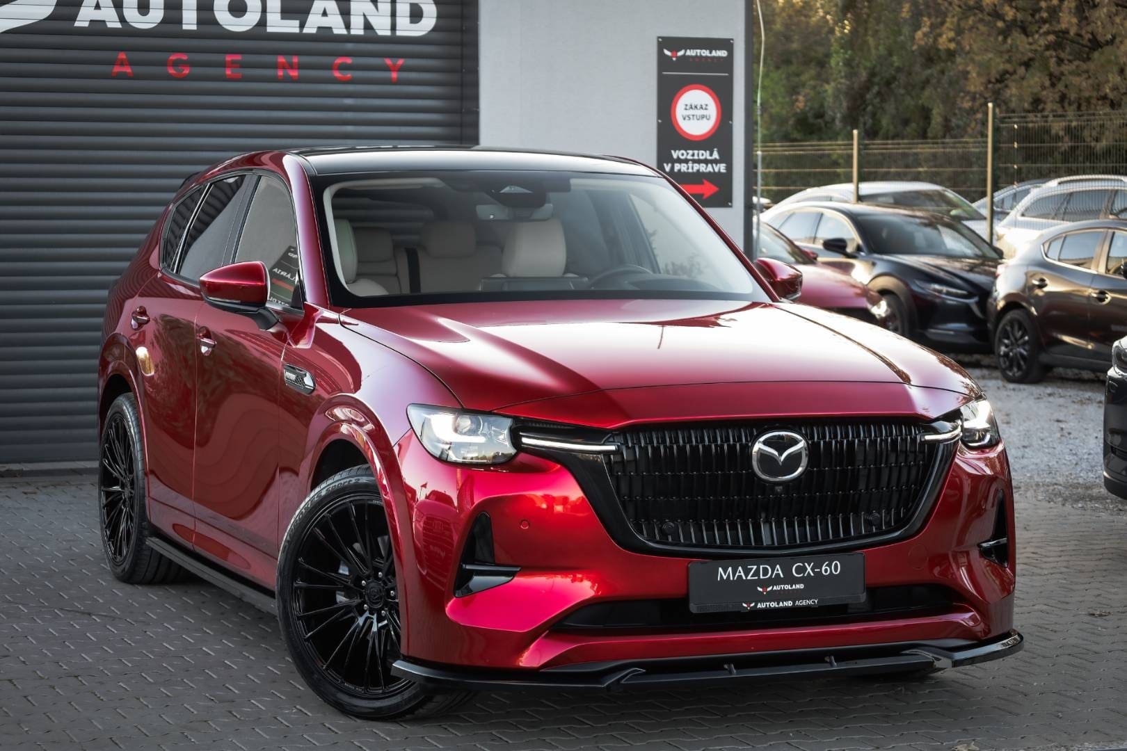 Mazda-CX-60-33-e-Skyactiv-D254-mHEV-Takumi-AWD-AT-4