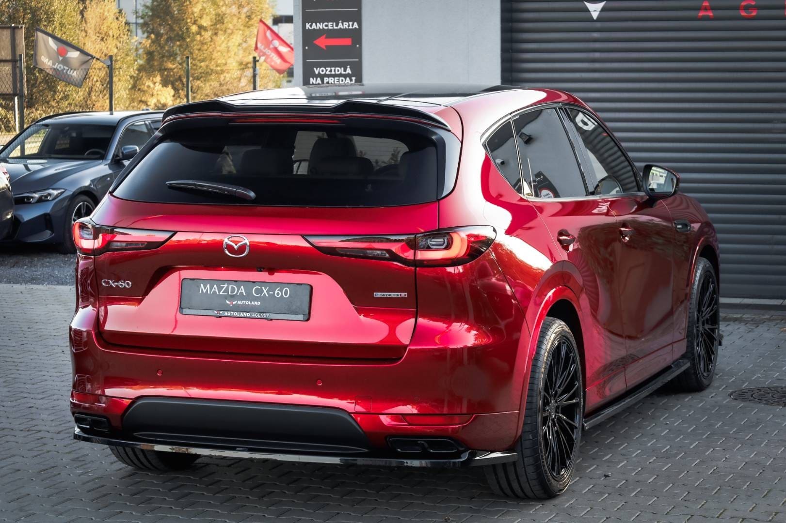 Mazda-CX-60-33-e-Skyactiv-D254-mHEV-Takumi-AWD-AT-6