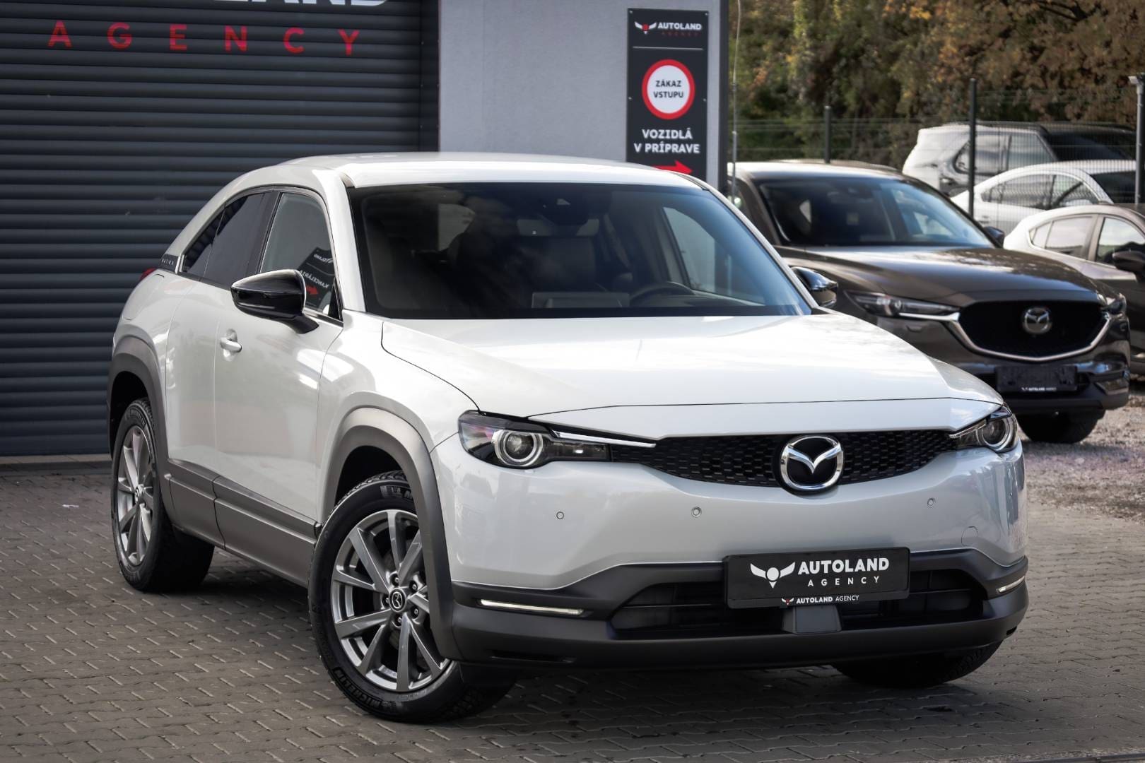 Mazda-MX-30-e-Skyactiv-GT-Plus-Luxury-Vintage-4