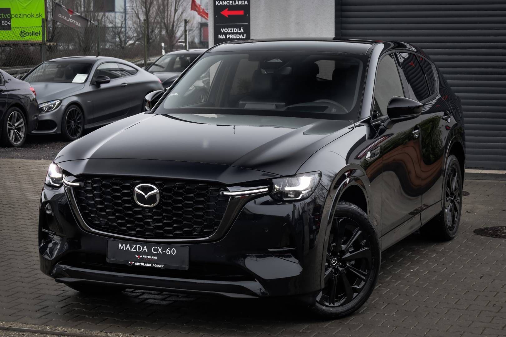 Mazda-CX-60-33-e-Skyactiv-D254-mHEV-Homura-AWD-AT-1