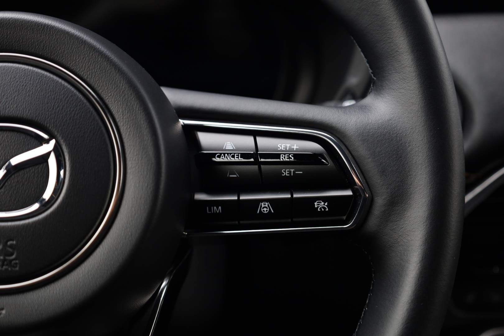 Mazda-CX-60-33-e-Skyactiv-D254-mHEV-Homura-AWD-AT-18