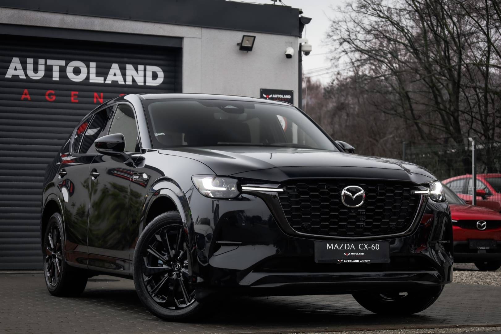 Mazda-CX-60-33-e-Skyactiv-D254-mHEV-Homura-AWD-AT-3