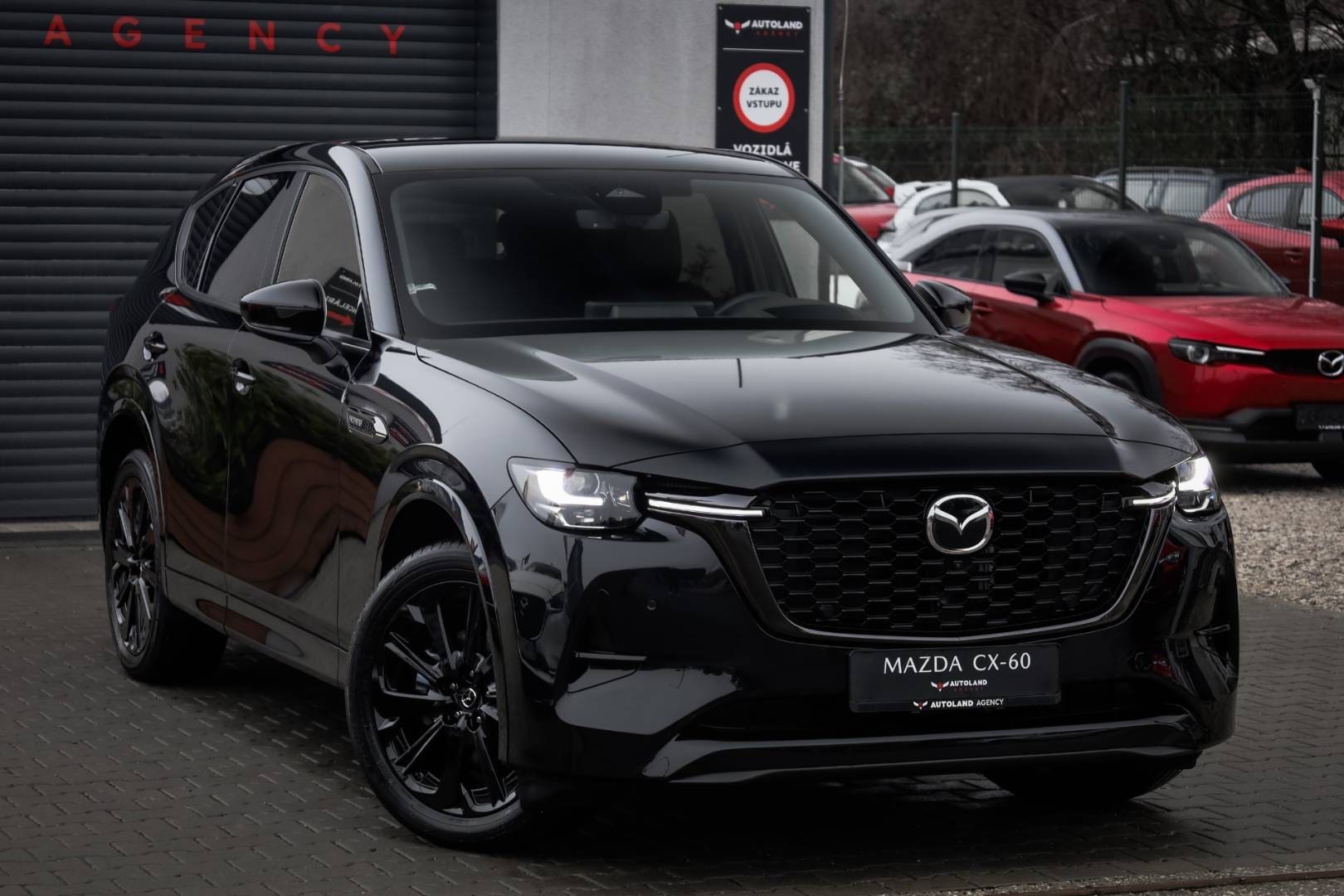Mazda-CX-60-33-e-Skyactiv-D254-mHEV-Homura-AWD-AT-4